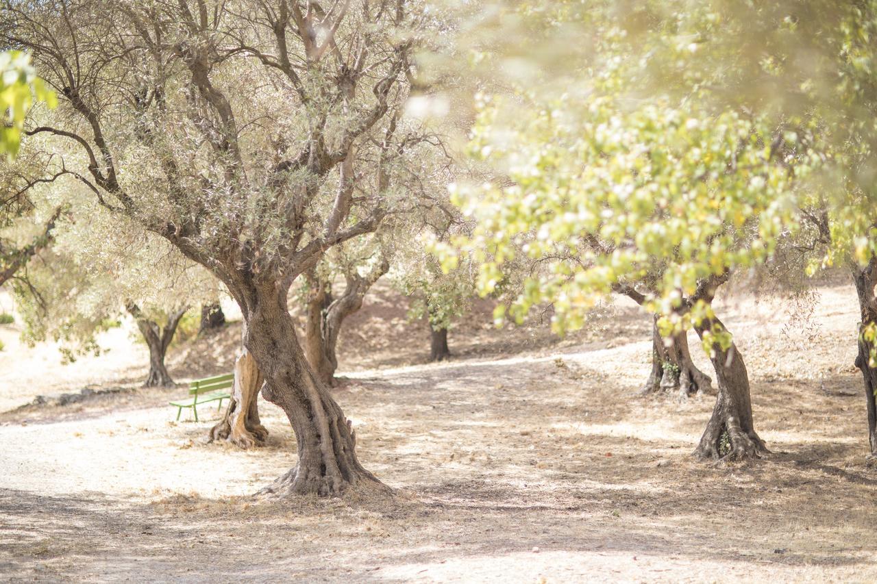 מלון לה ואלט-דו-ואר Domaine Des Gueules Cassees מראה חיצוני תמונה